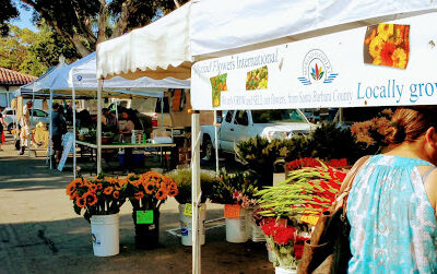 Ventura Farmers' Market (Downtown)