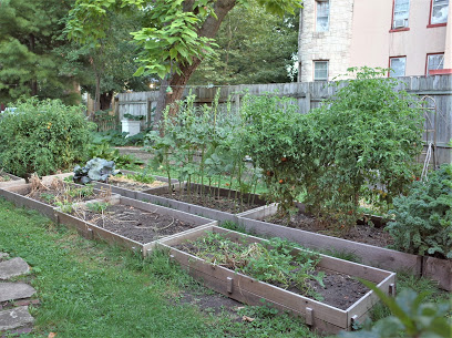 Birds & Bees Urban Farm