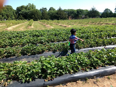Reagan Family Farm