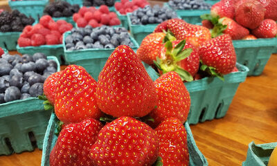 Brecknock Orchard