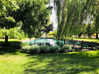 Mettler Vineyard