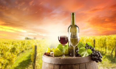 Na zdravie Vineyard and Winery