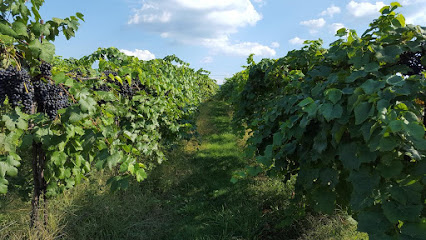 Happy Valley Vineyard and Winery