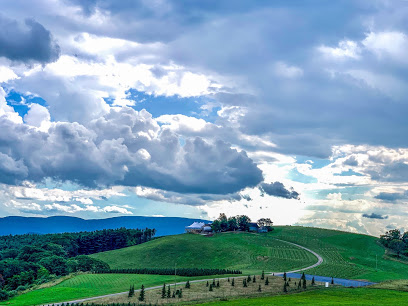 12 Ridges Vineyard