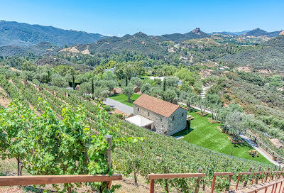 Cielo Farms