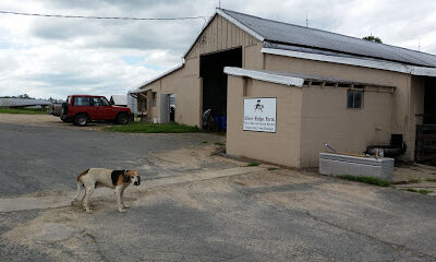Silver Ridge Farm
