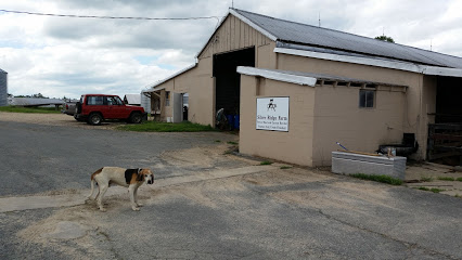 Silver Ridge Farm