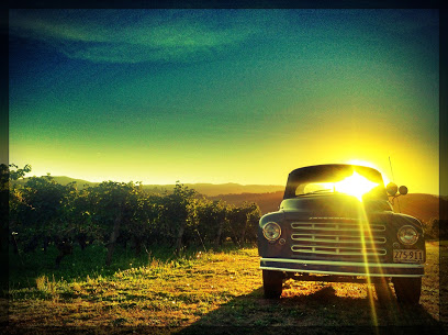 Tualatin Estate Vineyard