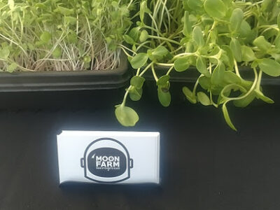 Stow Community Farmers Market