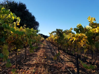 Puma Road Winery