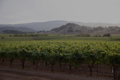 Perus Wine Company, LLC