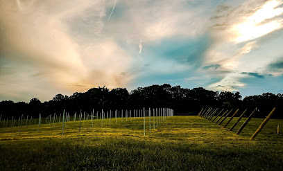 Southern Revere Vineyard & Farm