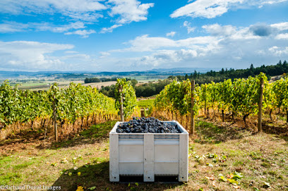 Tidalstar Vineyard