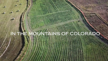 Super Natural Farms