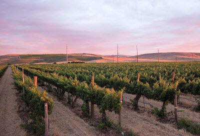 Seven Hills Winery