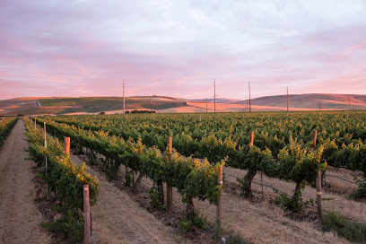 Seven Hills Winery