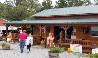Ingram Farm
