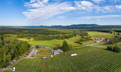 Glendale Ridge Vineyard