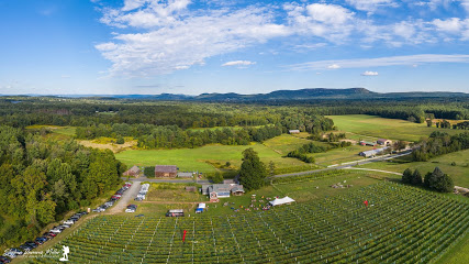Glendale Ridge Vineyard