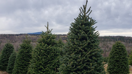 Sibgo Tree Company | NH Retail Christmas Trees