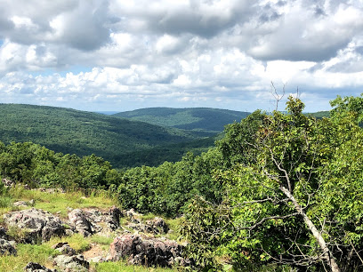 Taum Sauk Trail