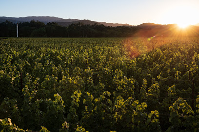 Kapcsándy Family Winery