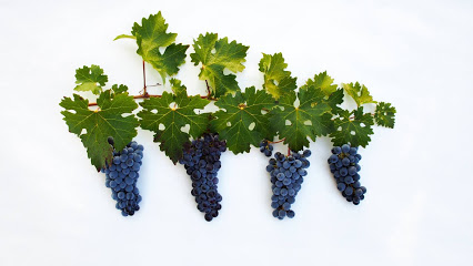 Hells Canyon Winery & Zhoo Zhoo
