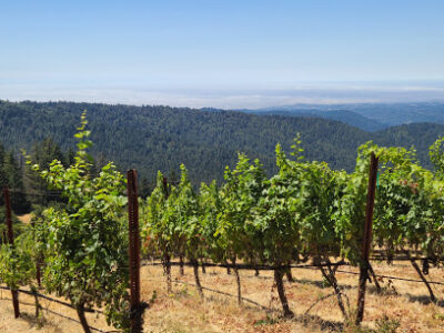 Loma Prieta Winery