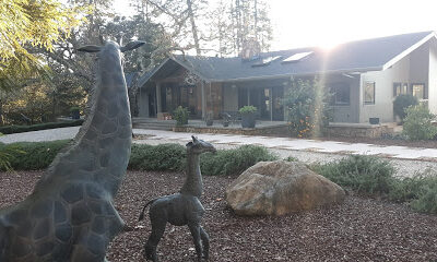 Haber Family Vineyards
