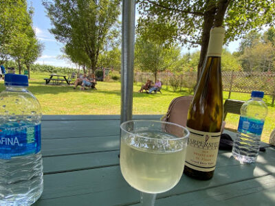 Harpersfield Vineyard