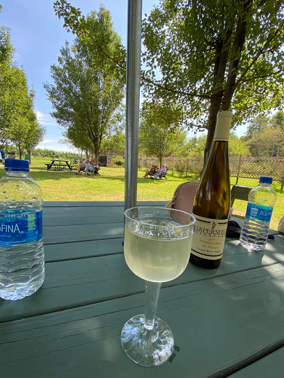 Harpersfield Vineyard