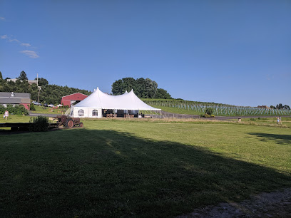 Nostrano Vineyards