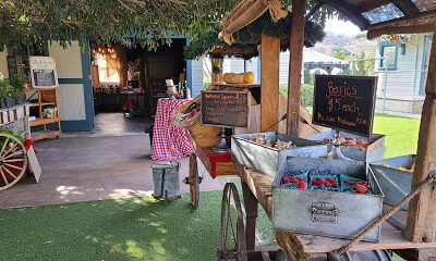 A Stone's Throw Winery