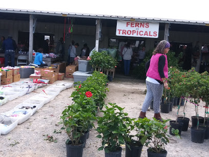 Mobile Flea Market