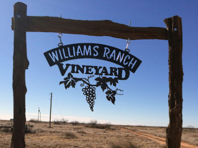 Williams Ranch Vineyard