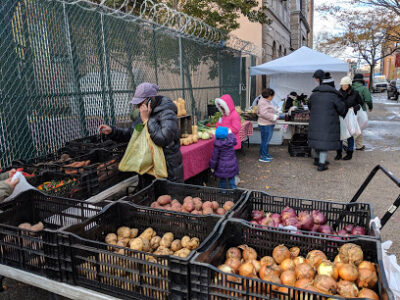 South Bronx Farmer's Market - June to November 2016