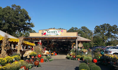 Green's Produce and Plants