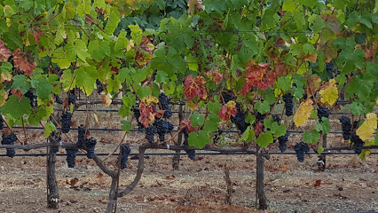 Theopolis Vineyards