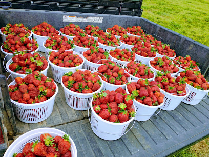 H & S Farms
