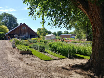 Mason Creek Farms