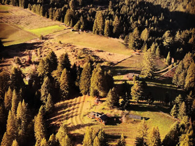 Wentworth Vineyard & Ranch
