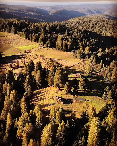 Wentworth Vineyard & Ranch
