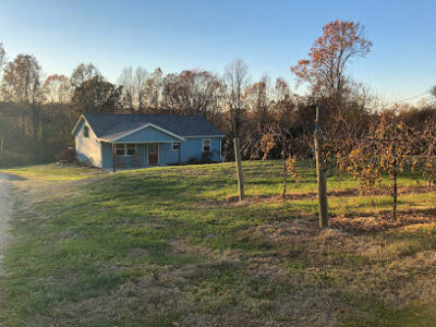 Betty's Vineyard House