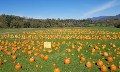 Layman Family Farms