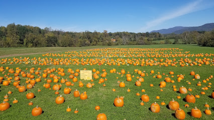 Layman Family Farms