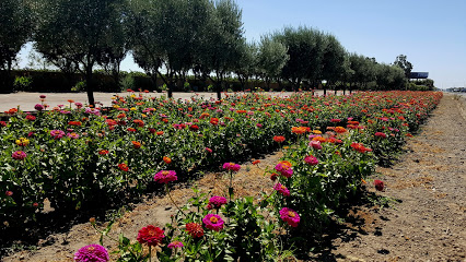 Michael David Winery