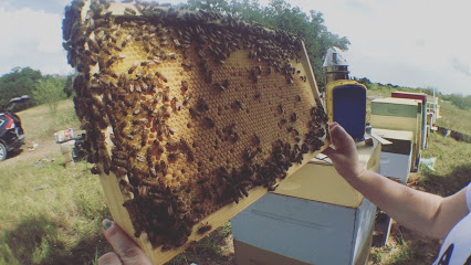 Prime Bees - Beekeepers & Bee Farm