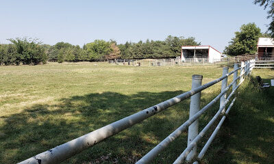 J.P.Acres (alpaca farm)