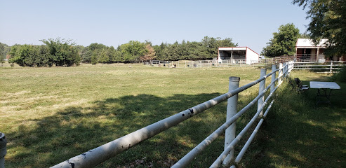 J.P.Acres (alpaca farm)