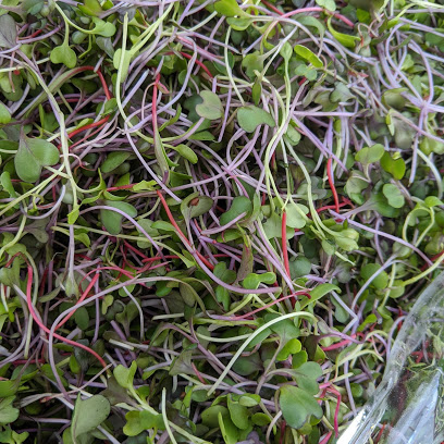 Grit City Farm